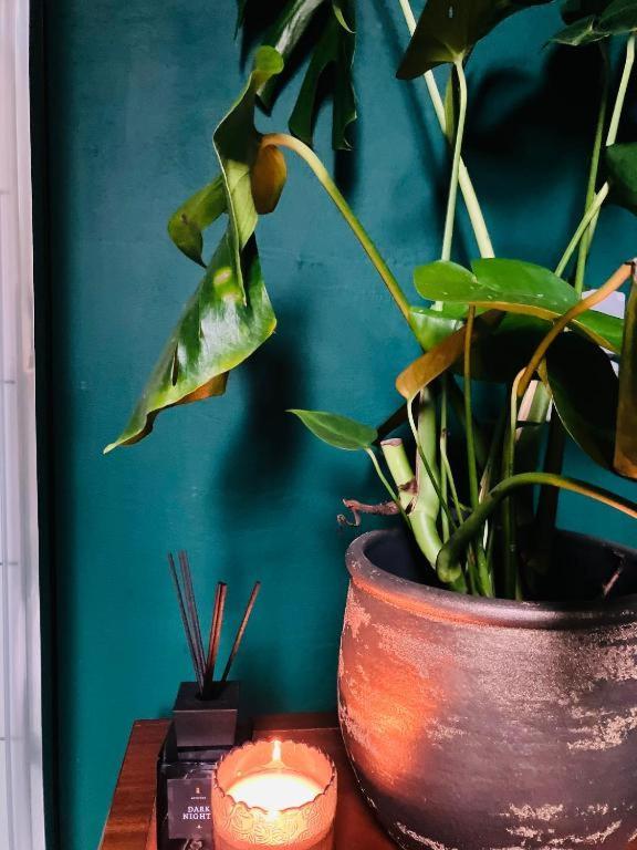 Bnb Hotel Suikernest Antwerpen Kültér fotó