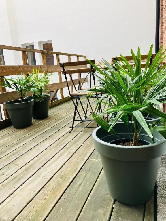 Bnb Hotel Suikernest Antwerpen Kültér fotó