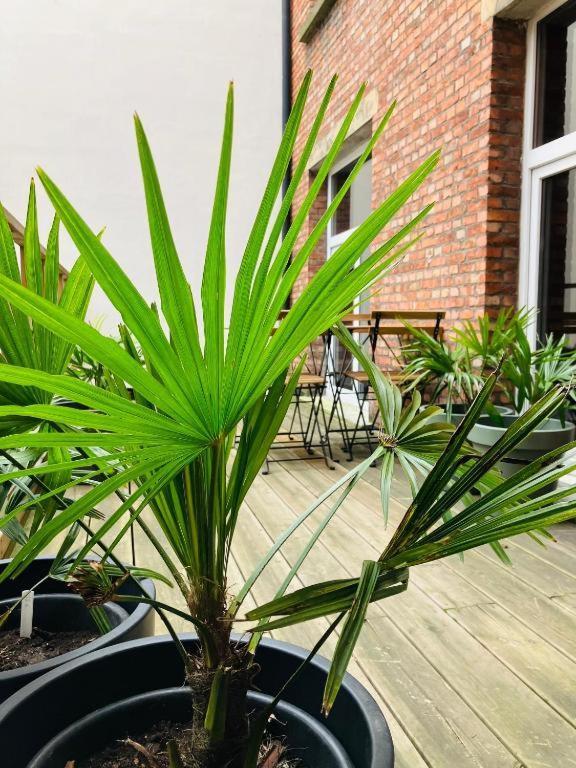 Bnb Hotel Suikernest Antwerpen Kültér fotó